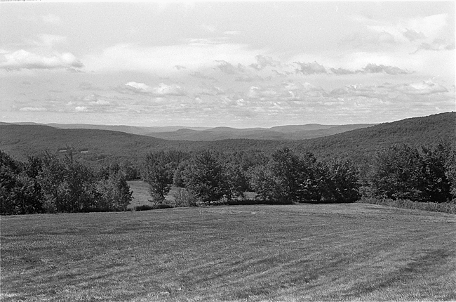 Leica MP, Summicron DR, Trix in D23, 1:0