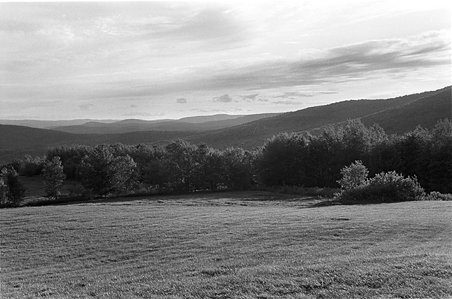 Leica MP, Summicron DR, Trix in D23, 1:0