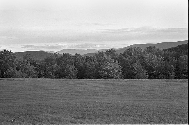 Leica MP, Summicron DR, Trix in D23, 1:0