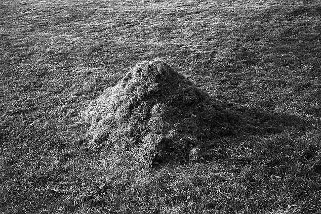 CapLeica MP, Summicron DR, Trix in D23, 1:0tion