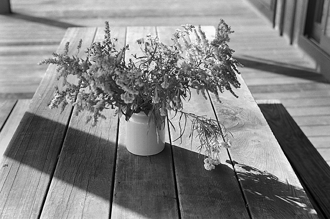 Kodak Medalist, Trix in FX2