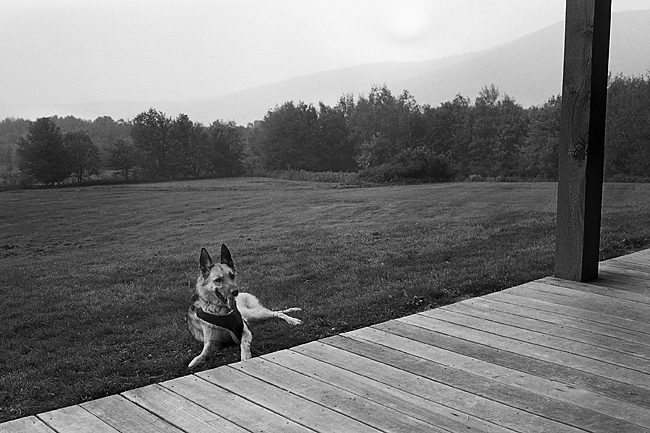 Kodak Medalist, Trix in FX2