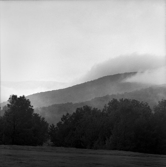 Hassleblad 500, Planar 150, TriX in D23 1:0