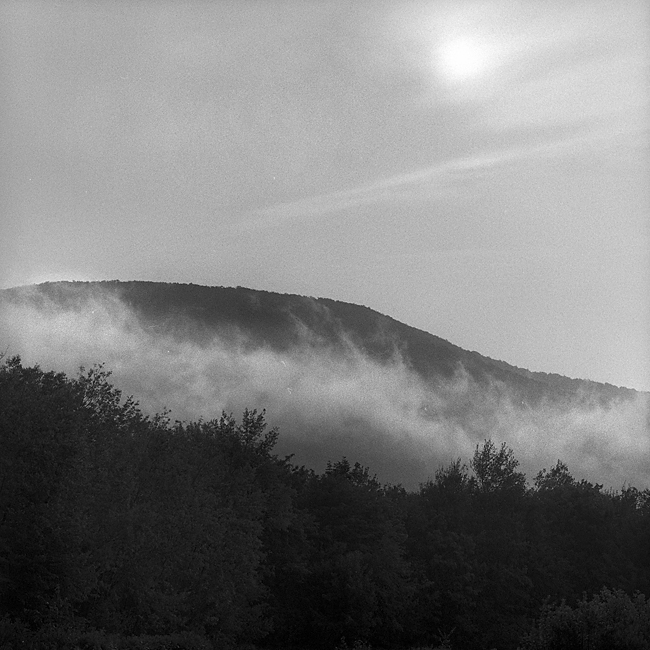 Hassleblad 500, Planar 150, TriX in D23 1:0